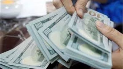 سعر الدولار اليوم الجمعة 24-5-2024 في البنك المركزي المصري بعد قرار تثبيت سعر الفائدة