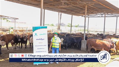 الإفتاء تطلق حملة جديدة لتوضيح الموقف الشرعي من 