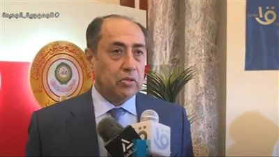 حسام زكي: المبادرة العربية للسلام قائمة.. وراضون عنها