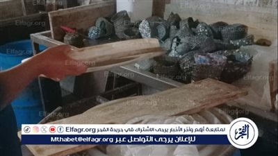 مراقبة الأغذية بصحة الدقهلية تكثف حملاتها بالمرور على 158 منشأة  بنطاق المحافظة