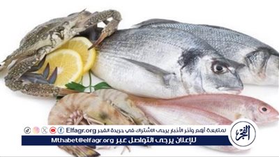 أسعار الأسماك اليوم الثلاثاء 11-6-2024 في الدقهلية