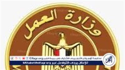  وزارة العمل تكشف عن مفاجأة ... وظائف جديدة في 20 محافظة