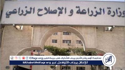 الزراعة تفاصيل تطوير محطة الزهراء للخيول العربية الأصيلة