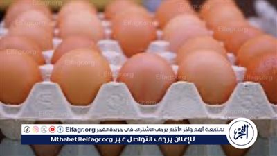 أسعار طبق البيض اليوم الاثنين 29-9-2025  في قنا