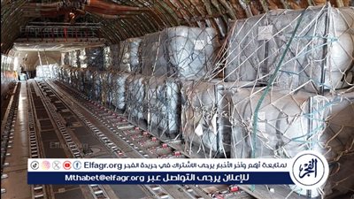 مصر تواصل جهودها فى تقديم المساعدات الإنسانية لقطاع غزة (فيديو)