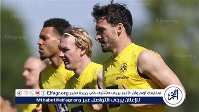 نجم دورتموند يعلق على استبعاده من اليورو