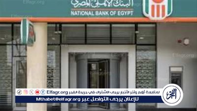 فرص تدريب خريجي 2024 في البنك الأهلي المصري: الشروط والتقديم