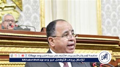 وزير المالية يكشف حقيقة تحويل الدعم السلعي إلى دعم نقدي للمواطن
