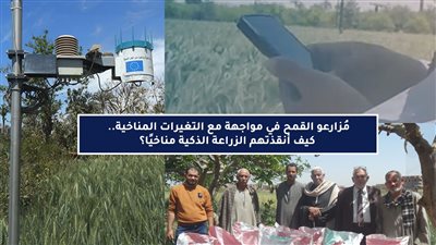  مُزارعو القمح في مواجهة مع التغيرات المناخية.. (ملف)