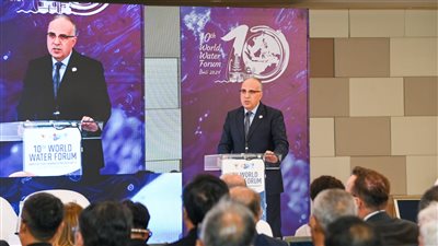 وزير الري: مصر تمتلك مركزا للتنبؤ بالفيضان ونفذت أعمال صناعية لحماية للمواطنين والمنشآت من أخطار السيول