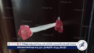 غلق وتشميع 15 منشأة طبية خاصة تدار دون تراخيص بمحافظة دمياط