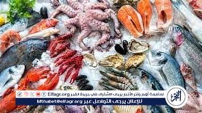 أسعار السمك اليوم السبت 15-6-2024 في محافظة قنا