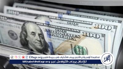 استقرار سعر الدولار مقابل الجنيه المصري في بداية تعاملات اليوم الأربعاء