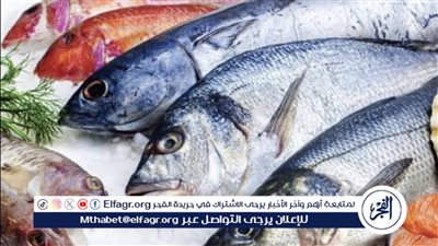 وضع الخطط والقواعد.. ما اختصاصات جهاز حماية وتنمية البحيرات والثروة السمكية؟