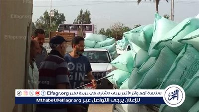 ارتفاع حصيلة توريد القمح 260 الف طن في الدقهلية 