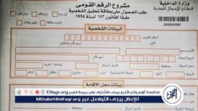 إستخراج أكثر من 8 آلاف بطاقة رقم قومى للمصريين المقيمين بالسعودية والكويت