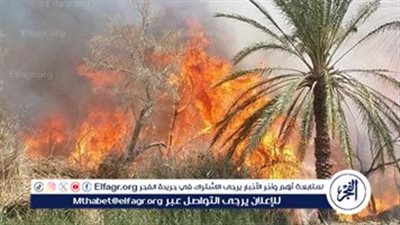 حريق هائل في 50 كرم نخيل بالأقالتة غرب الأقصر