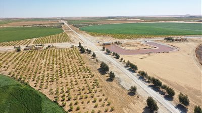 أمل تجدد وحلم تحقق.. 