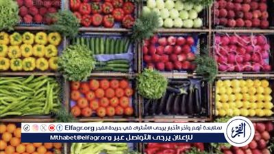 ارتفاع أسعار الخضروات في أسواق الإسكندرية اليوم السبت 25 مايو 2024