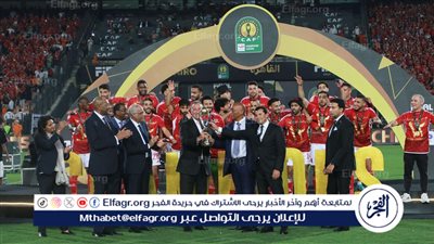 المدير التنفيذي للأهلي: الرئيس السيسي كان يتابع كافة إجراءات تنظيم نهائي دوري أبطال إفريقيا