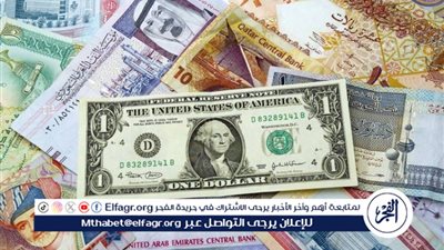 أسعار العملات الأجنبية أمام الجنيه المصري في تعاملات اليوم الأحد 26-5-2024 بالبنك المركزي 