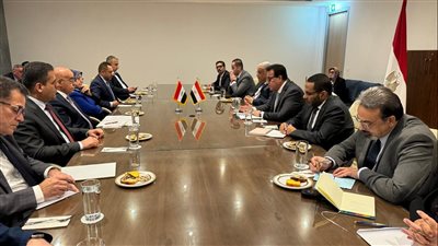 وزير الصحة يبحث مع نظيره العراقي سبل التعاون في تصدير وتسجيل الأدوية