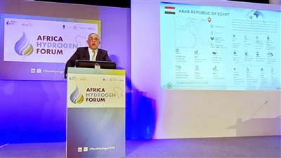 الهيئة العامة للاستثمار والمناطق الحرة تسعى لجذب استثمارات هولندية في الهيدروجين الأخضر