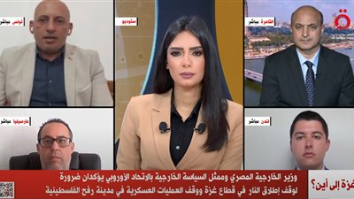 عاجل| شكري وممثل بالاتحاد الأوروبي يؤكدان ضرورة التوصل لوقف إطلاق النار بغزة 