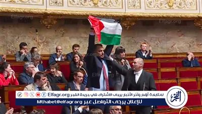 نائب يساري يرفع علم فلسطين في الجمعية الوطنية الفرنسية وتعليق الجلسة