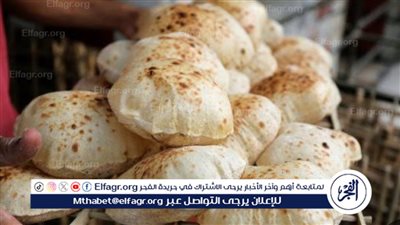 عاجل| الوزراء: زيادة سعر رغيف الخبز لـ 20 قرشا بداية من الشهر المقبل