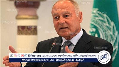 أبو الغيط: الوضع العربي صعب.. وها هو سبب الأزمة الاقتصادية في مصر