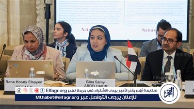 مصر تنضم رسميًا إلى 