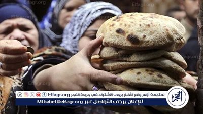 عاجل.. دعوى قضائية تطالب بإلغاء قرار زيادة سعر رغيف العيش
