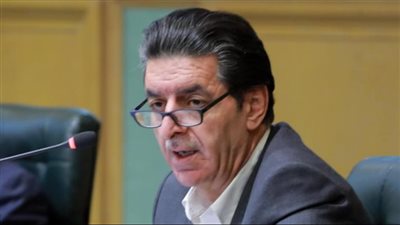 برلماني أردني: التشكيك في دور مصر تجاه القضية الفلسطينية غير مجدي (فيديو)