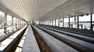 تطوير مشروعات قنا للأمن الغذائي لاستقبال ما يزيد عن ٣٠٠ الف طائر في مشروع البيض