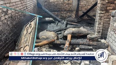 إصابة 10 أشخاص فى حريق هائل بسوهاج