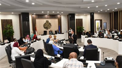 محافظ أسوان يستقبل وفد الجهاز القومي لتنظيم الاتصالات