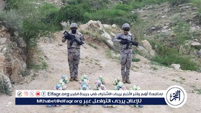 حرس الحدود بعسير يحبط تهريب 30000 قرص خاضع لتنظيم التداول الطبي