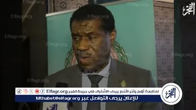 برلماني ليبي: مصر الدولة الكبرى والمؤثرة التي راعت كافة مصالح الدولة الفلسطينية