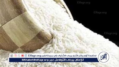 أسعار الأرز الشعير اليوم وأهميتها الاقتصادية