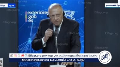 عاجل| تعليق مهم لـ سامح شكري بشأن معاهدة السلام مع إسرائيل