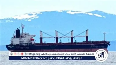 تداول 110 آلاف طن بضائع بموانئ البحر الأحمر