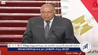 شكري: الجانب الفلسطيني من رفح أصبح مسرحا للعمليات العسكرية.. وإغلاقه أعاق إدخال المساعدات