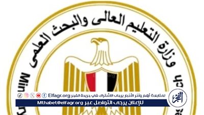 كيف يتم تطوير الجامعات التكنولوجية المصرية لتحقيق ثورة تعليمية وصناعية شاملة؟ 