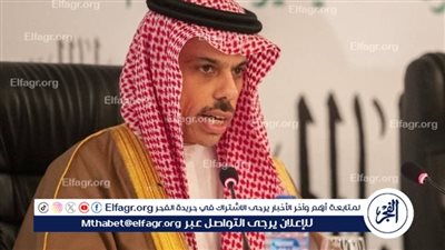 وزير الخارجية السعودي يُشيد بالجهود المصرية لإنهاء التصعيد بغزة وتحقيق الأمن الإقليمي
