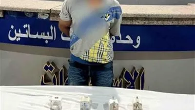 تسبب بانقطاع التيار الكهربائي.. ضبط عاطل سرق فيوزات كهرباء بالبساتين