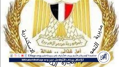 محاضر بالجملة.. إدارات التموين تشن حملات رقابية على الأسواق في الإسكندرية