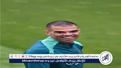 بيبي يقرر مستقبله بعد اليورو