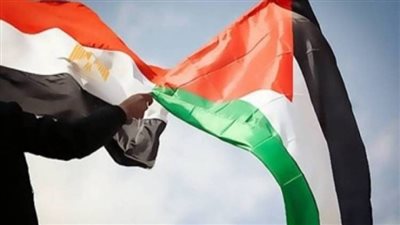 عاجل| برلمانيون عرب يردون على مزاعم إسرائيل عن مصر تجاه فلسطين 