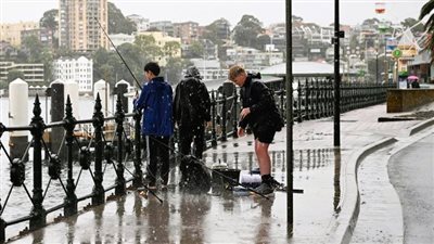 أمطار غزيرة شرق أستراليا تتسبب في فيضانات مفاجئة 